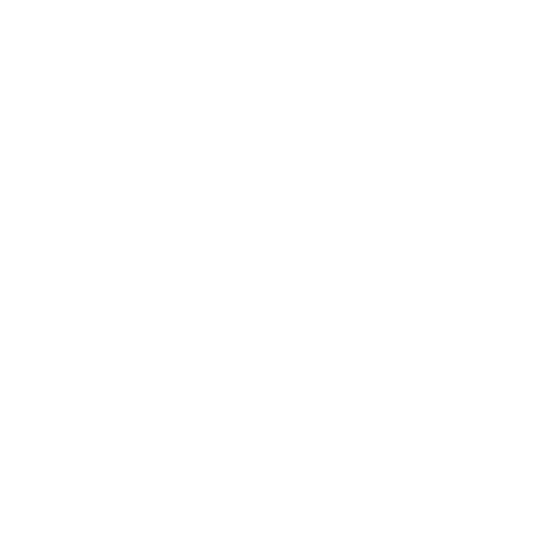 Surf Academy Logo